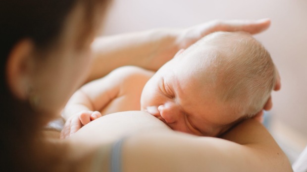 pregatirea pentru alaptare cuibul berzelor